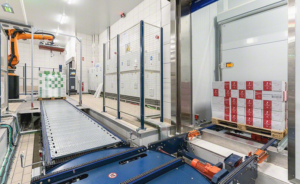 Охлаждаемая экспедиция с антропоморфным роботом